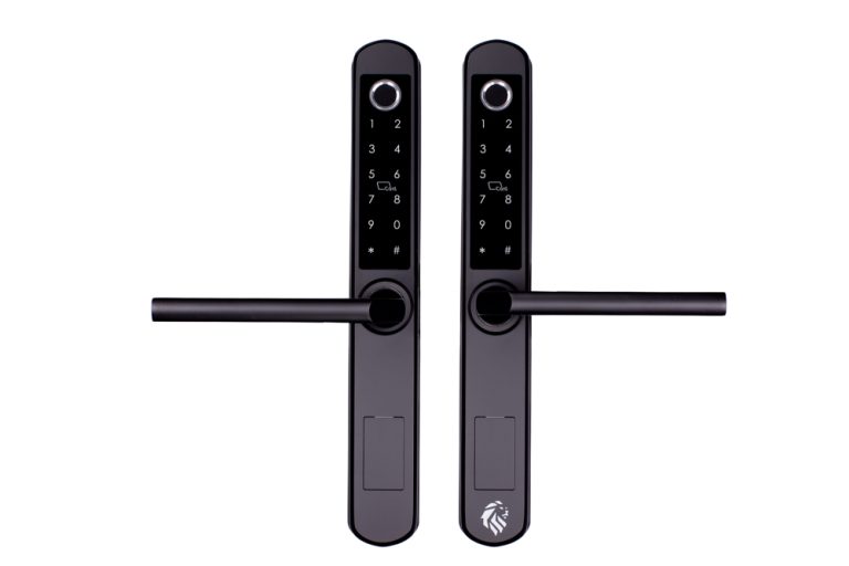 Lion Head Oxford Double digital lock